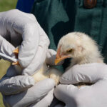 Denizli Veteriner | Cavit AKÇA Denizli Veteriner Kliniği | Denizli Pet Klinik Veteriner | 0540 658 68 58