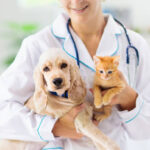 Denizli Veteriner | Cavit AKÇA Denizli Veteriner Kliniği | Denizli Pet Klinik Veteriner | 0540 658 68 58
