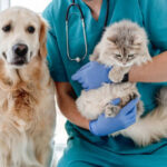 Denizli Veteriner | Cavit AKÇA Denizli Veteriner Kliniği | Denizli Pet Klinik Veteriner | 0540 658 68 58